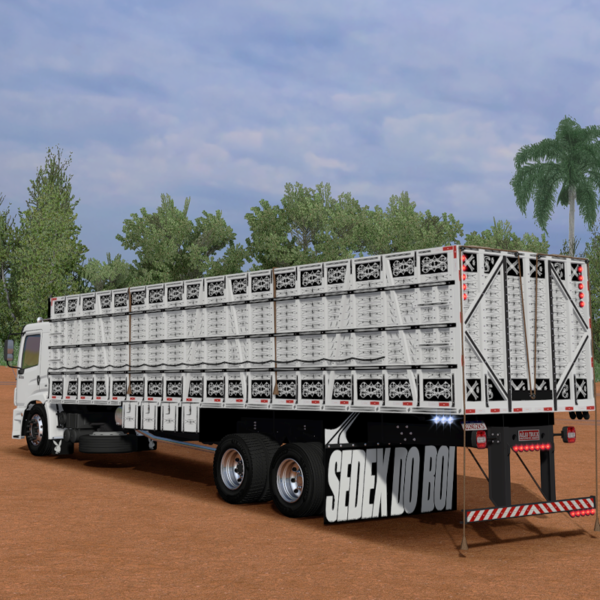 BOB BOIADEIRO 24-250 🚛 - Imagem 3