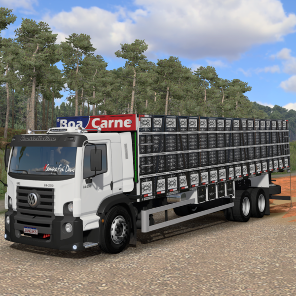 BOB BOIADEIRO 24-250 🚛 - Imagem 6